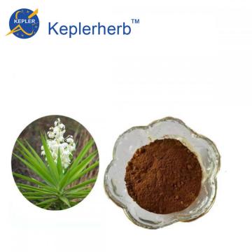 Yucca Extract Powder yucca schidigera plant