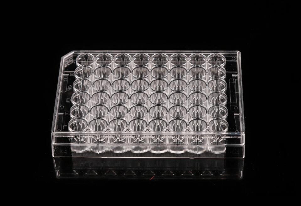 cell culture plate