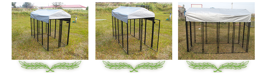 large wire welded dog kennel