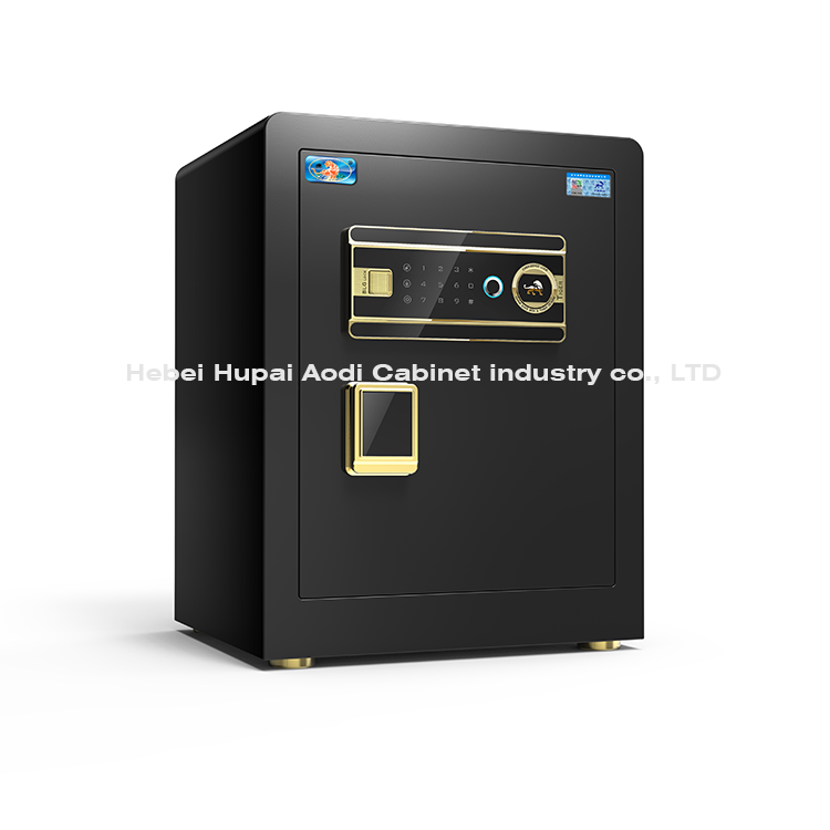 BORUI45 fingerprint750
