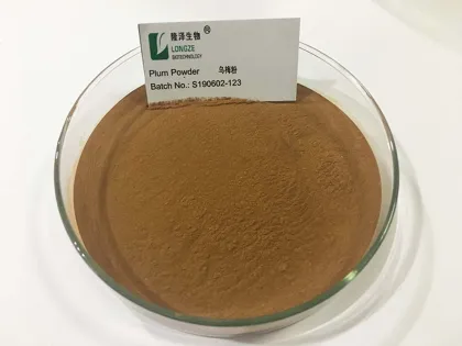 Wholesale private label natural OEM plum powder