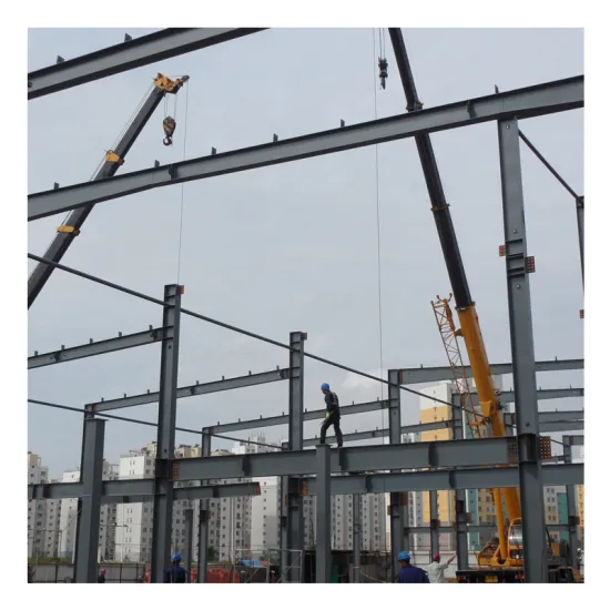 Expansion of Exhibition Hall and Steel Structure Granary by Installation Factory