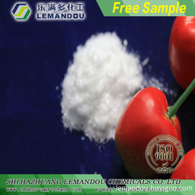 6-benzylaminopurine-bossgoo-6-benzylaminopurine