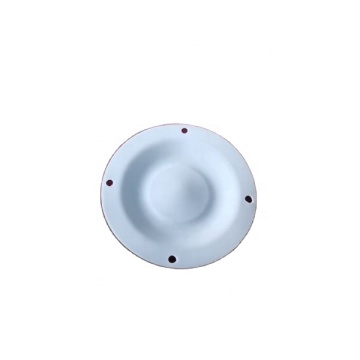 Diaphragm PTFE/EPDM FIT ALMATEC PUMP E10 11003167