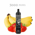 10 Fruits Disposable Vape Pen Electronic Cigarettes