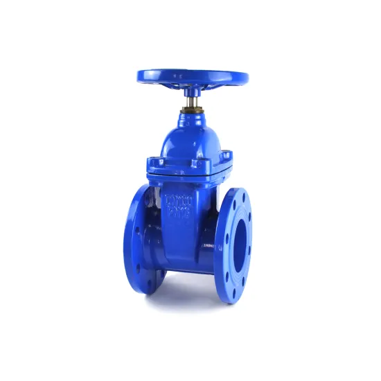ANSI/ASME Gate Valve