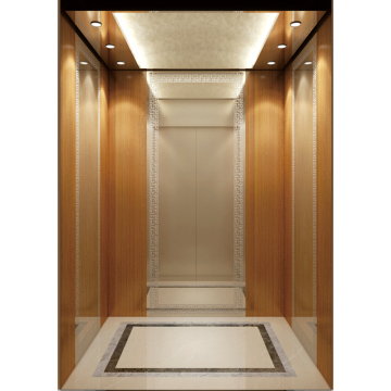 Commercial Passenger Elevator Professional Manufacture 800KG Apartment Elevator Lift