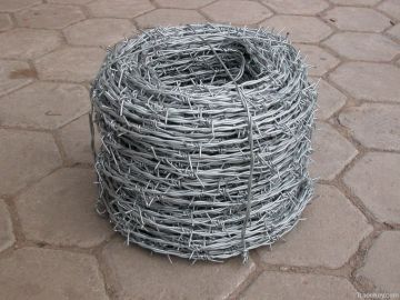 Barbed wire galvanized steel coil razor wire