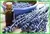 Chinese made mini lab herbs extraction equipment