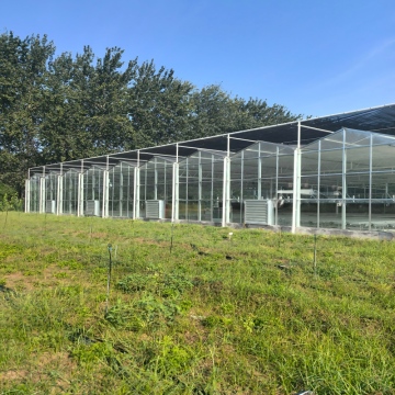 Modern Glass Greenhouse with Polycarbonate Roof