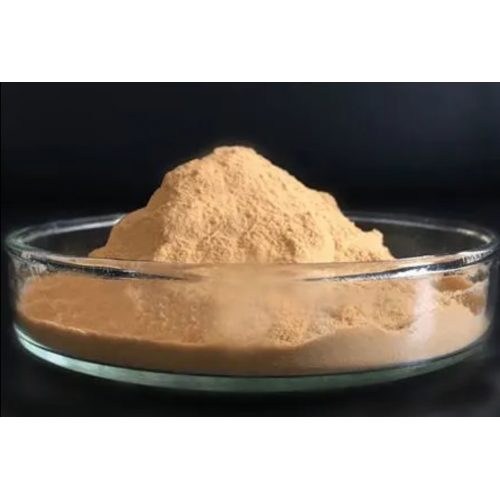 Vitamin B12 CAS 68-19-9 with high quality