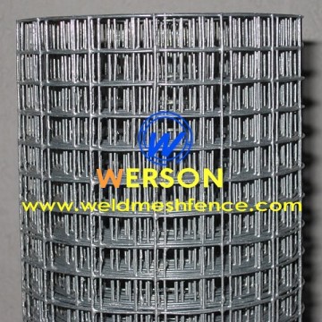 Galvanized Welded Wire Mesh,Welded Mesh Roll