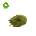 Herbal Powder Gynostemma Extract Gypenoside 98% Free Sample