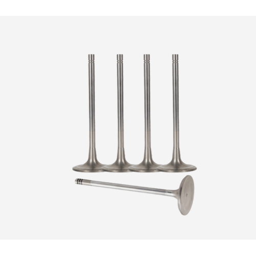Exhaust Valve Compatible with Mitsubishi S6R Engine