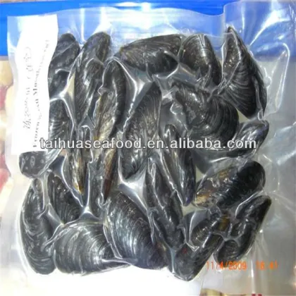 frozen cooked best and delicious large mussels