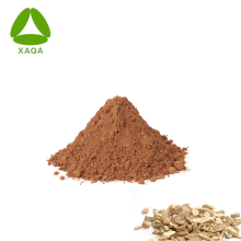 Meilleur prix Natural Organic Isatis Root Extract Powder