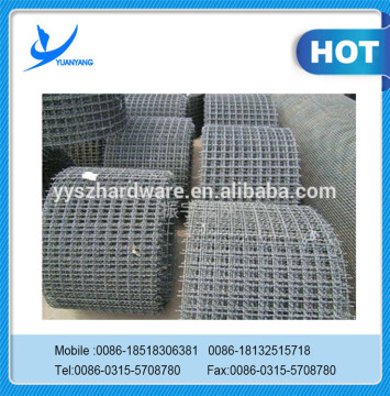 Crimped Wire Mesh