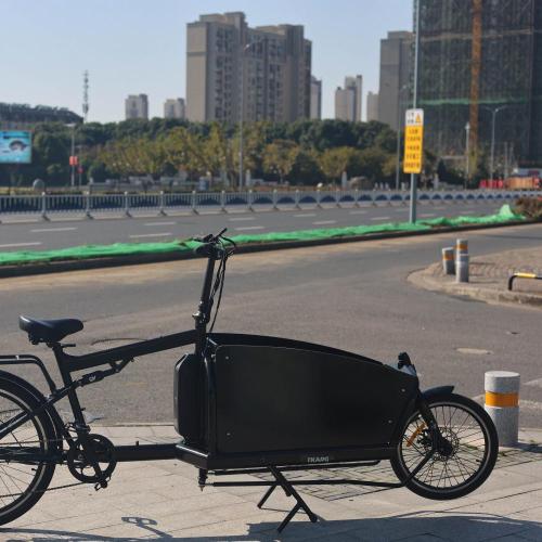 cargo ebike con sospensione 2 ruote urbane ebike