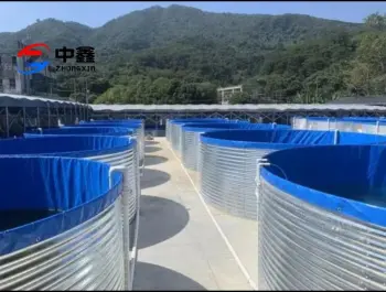 Galvanized sheet PVC canvas pool for aquaculture