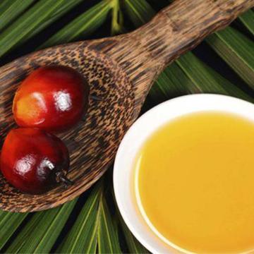 Huile de palme naturelle pour massage GMPC approuvé en gros