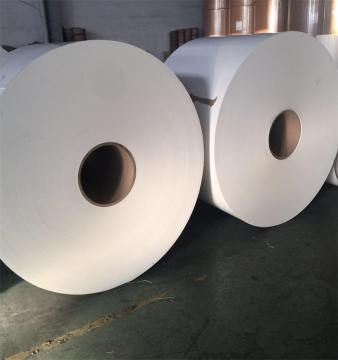 Water-Resistant Ivory Paper Roll - One Side Coated