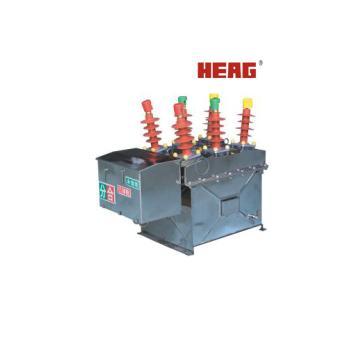 ZW8-12 Outdoor Vacuum Circuit Breaker