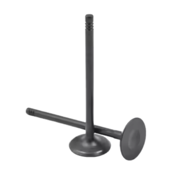 1320927 Intake Valve for Engine