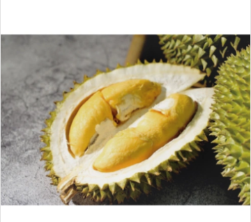 High-Potency Durio zibethinus Extract Powder
