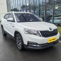 Skoda Kamiq 1,5 л 2024 года с автоматической коробкой передач Comfort Edition