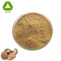 Shiitake Extract Powder 10% 50% de polissacarídeo