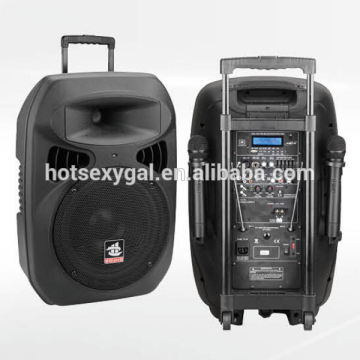 S0815 professional subwoofer speakers with CE and RoHS