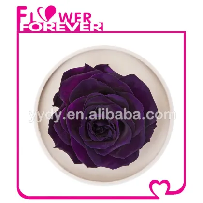 Best Gift Preserved Natural Rose