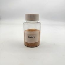 水処理と汚染物質の減少のための生物細菌