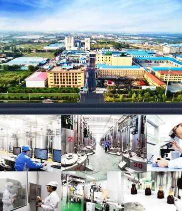 Sugar free polydextrose powder 0.3 reduce sugar