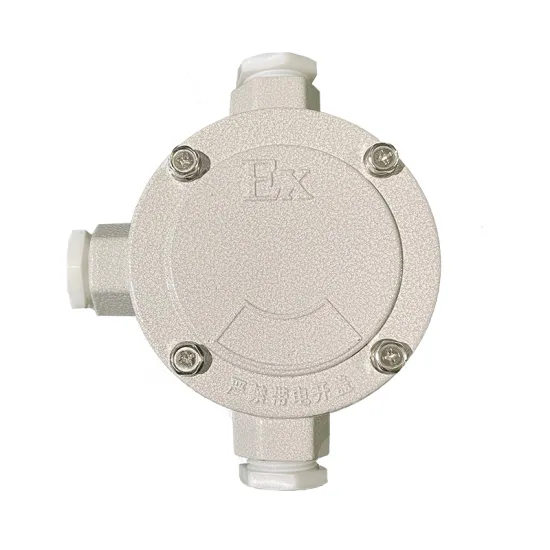 LEDUN IP66 Explosion Proof Flexible Conduit Junction Box and Switch for Hazardous Environments