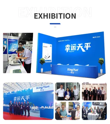 XINGYUN Precision Scale Calibration and Digital Lab Instruments - Factory Direct Sale Analytical Balance