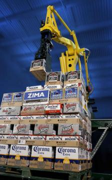 Packing and Palletizing Robot