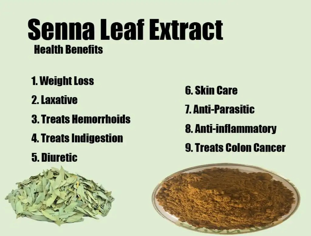 Natural Sennosides Powder Senna Leaf Extract