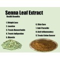 Natural Sennosides Powder Senna Leaf Extract