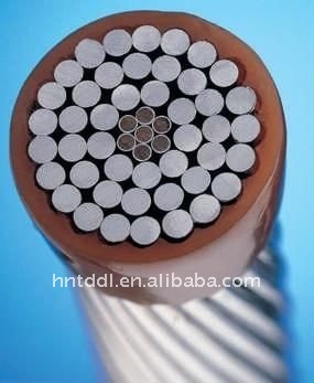 Aluminum Conductor Steel Reinforced ACSR