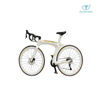 TEMPESTA High-Performance Road Bike