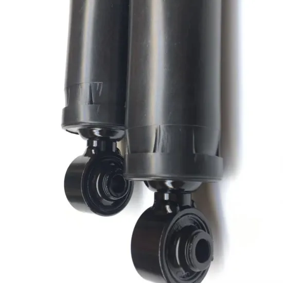 Rear Air Suspension Struts and Springs for Land Rover LR3 LR4 Discovery 3 4