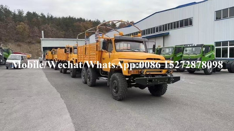 Desert Off Road 4x4 6x6 Military Army Truck (13)
