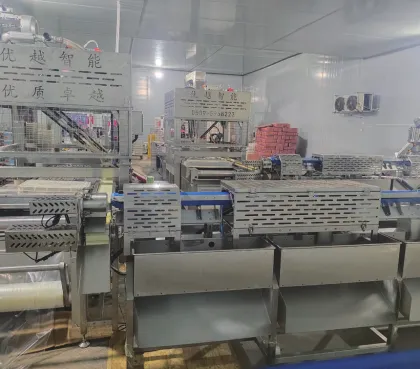 Multi-Function Hot Dog Packaging Machines: Enhancing Efficiency with Vibrating Tray Feeder Technology