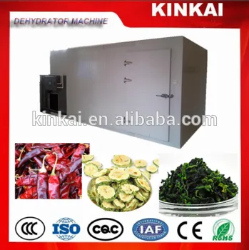 Mushroom dryer machine/ nut dryer/ fruit and vegetable drying machine