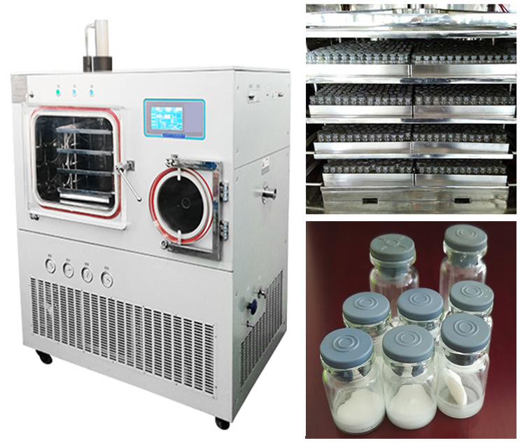 Freeze Drying Lyophilizer