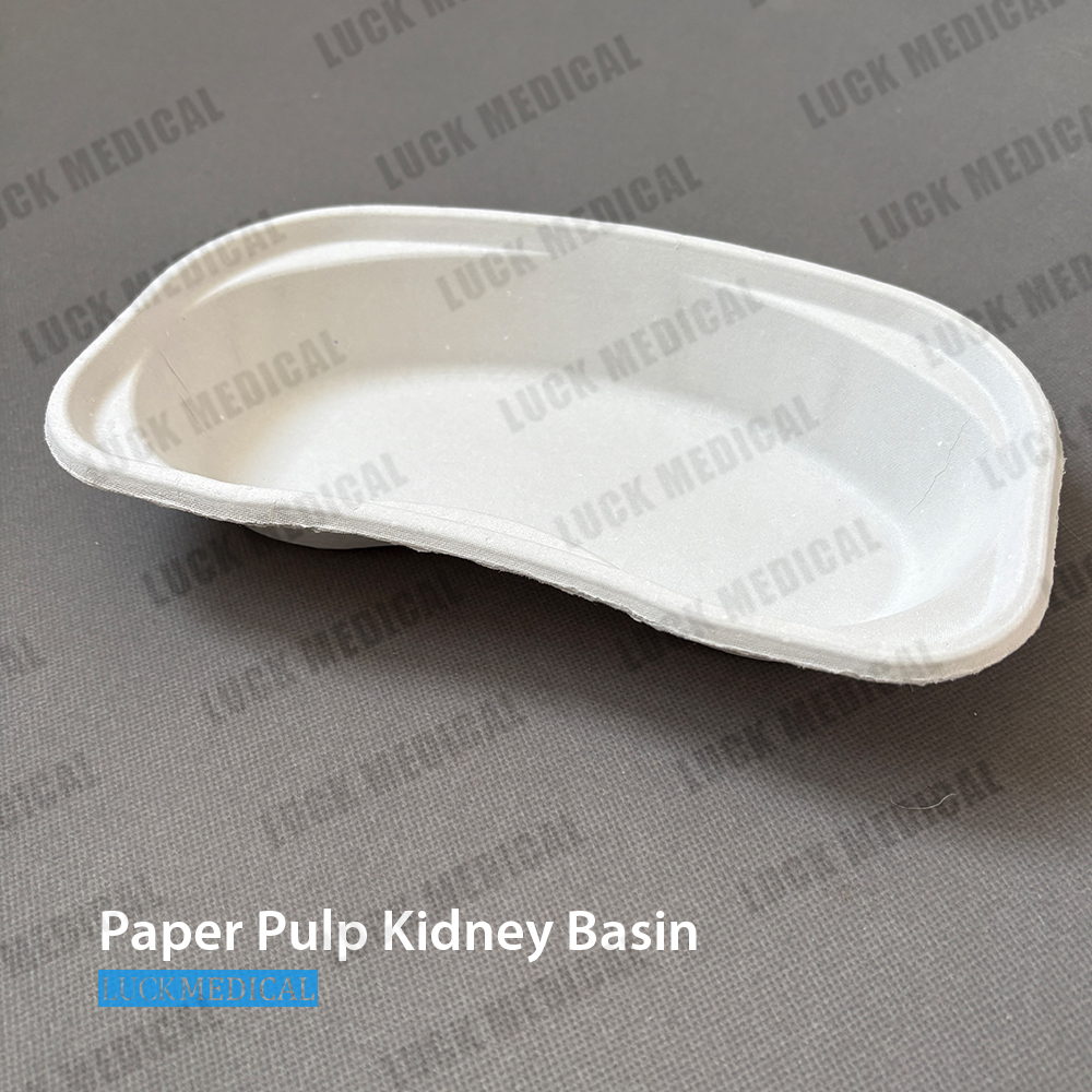 Блюдо из мякоти почек медицинского назначения, 800 мл