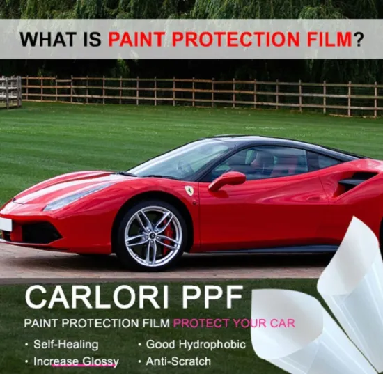 paint protection film car price