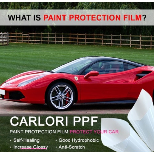 Protección de pintura Película Coche Price