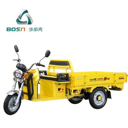 Electric Cargo Bike/ cargo tricycle